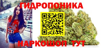 трава Сланцы