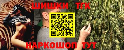 трава Сланцы