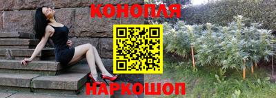 трава Сланцы