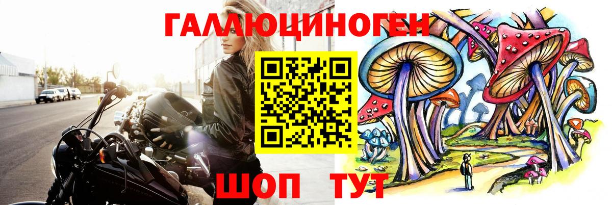 Галлюциногенные грибы Psilocybine cubensis Нефтекумск