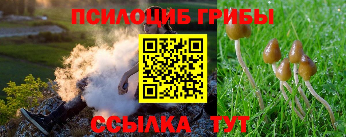 COCAIN  МДМА  Конопля  Купить наркотик  НБОМе  Гашиш  Мефедрон кристаллы  Нефтекумск  Вход с VPN 