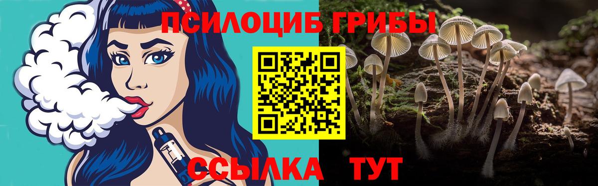 Псилоцибиновые грибы прущие грибы  Вход с VPN  Нефтекумск 
